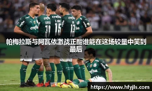 XK星空体育官方app下载